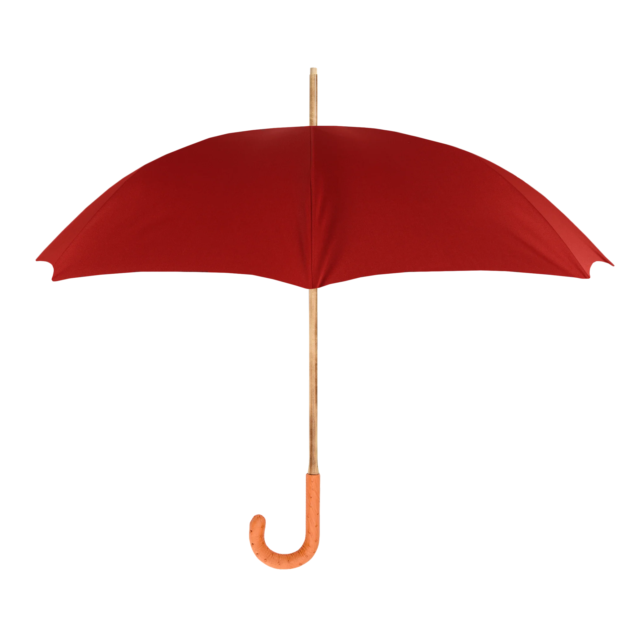 Custom Francesco Maglia Umbrella