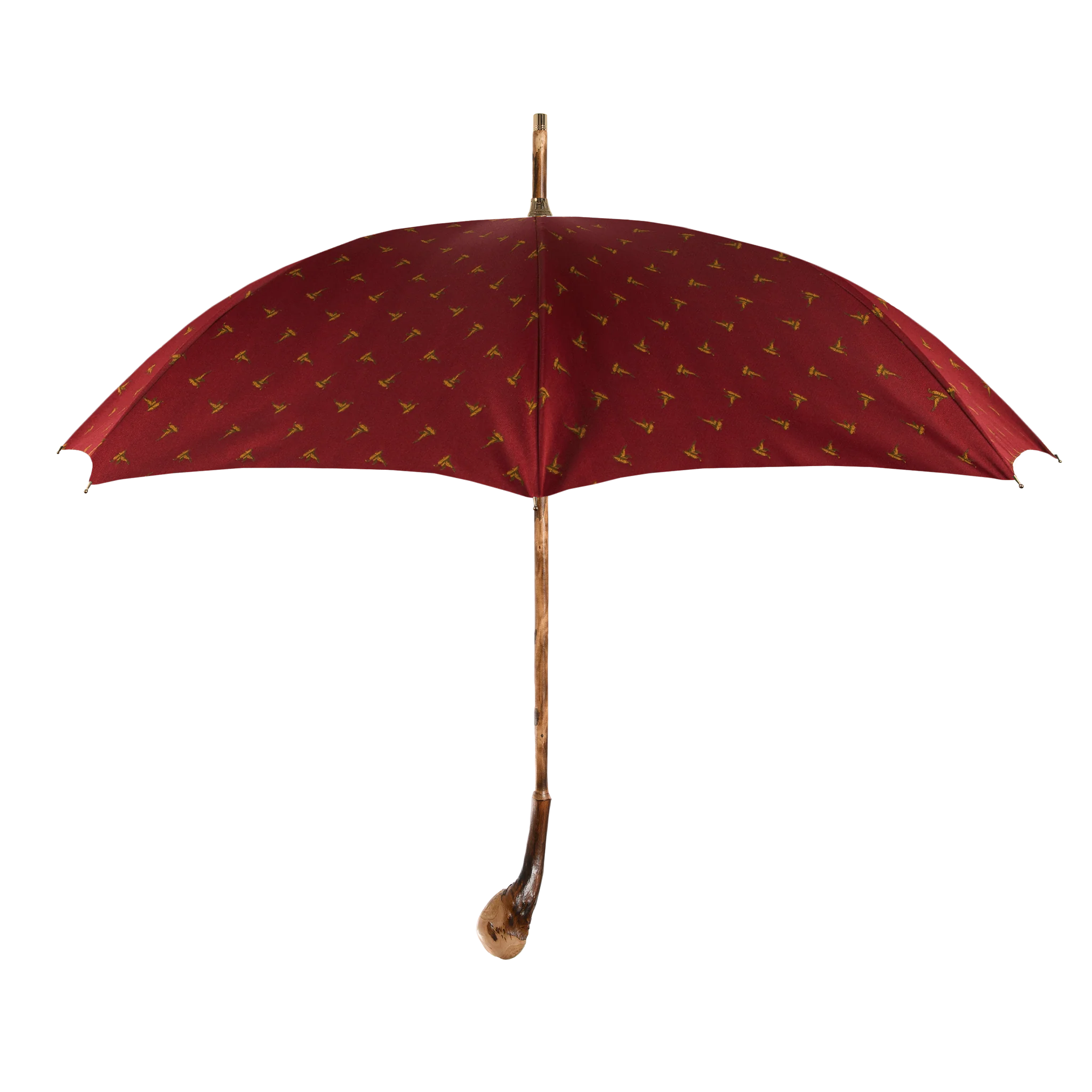Custom Francesco Maglia Umbrella