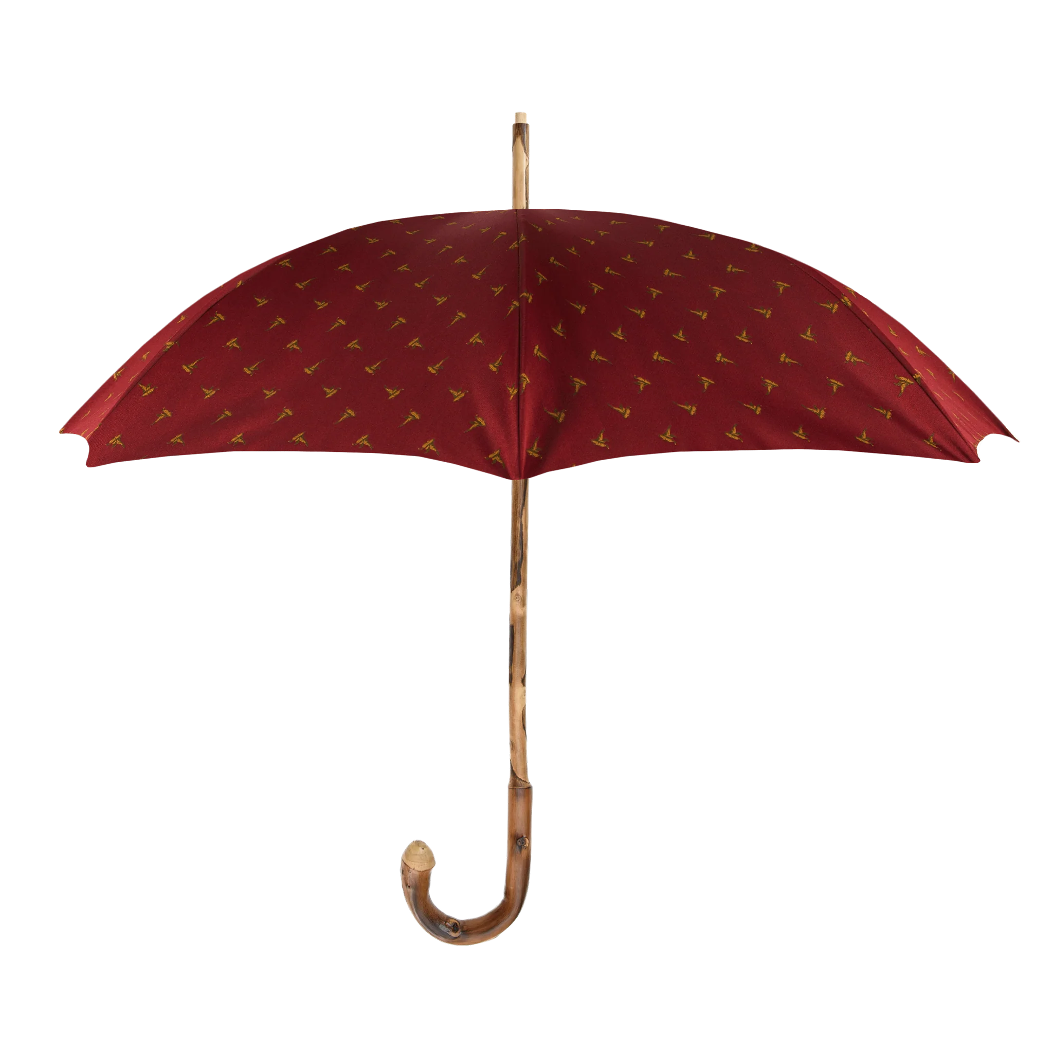 Custom Francesco Maglia Umbrella